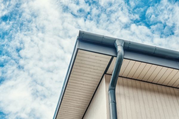 Gutter Fascia Repair in Zebulon