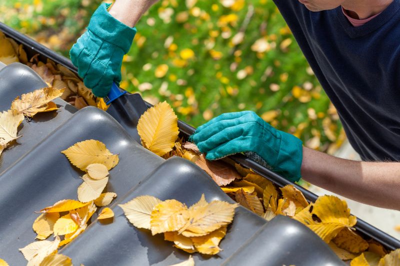 Pre-Winter Gutter Checks